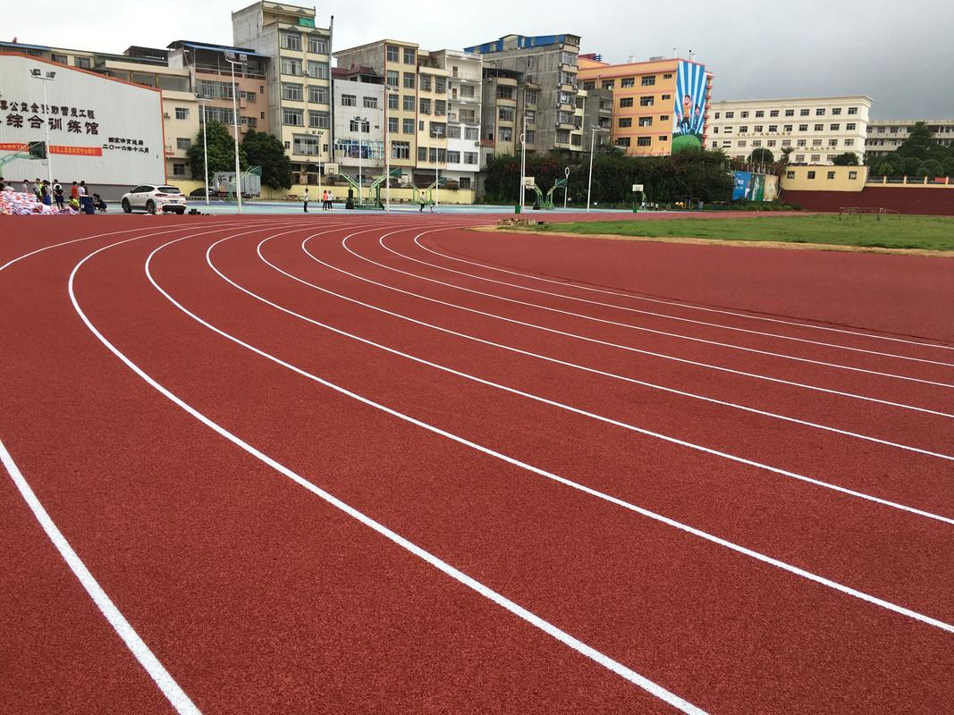 南京市EPDM颗粒塑胶跑道材料 - 价格